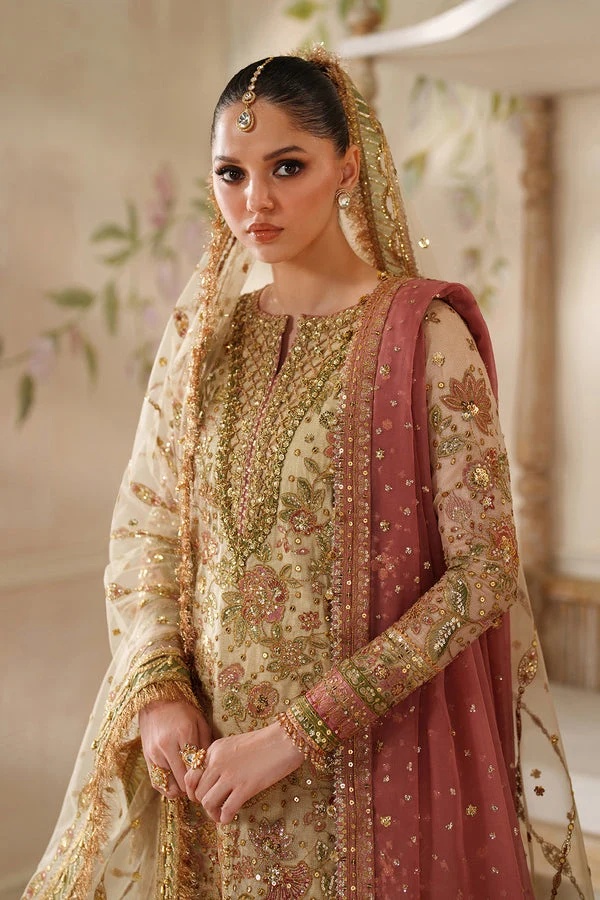 EMBROIDERED NET BAROUQE pakistani fashion outfit with coordinated…